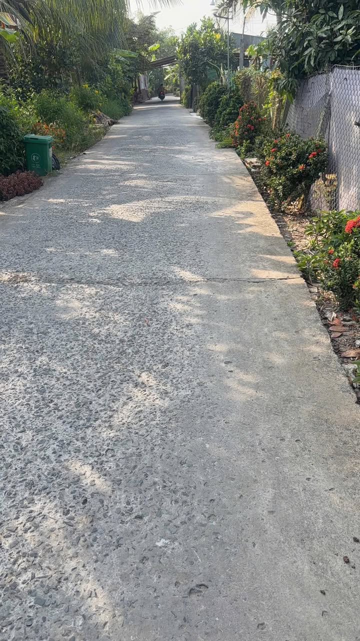 Đất vườn Cai Lậy 7.700m² giá 530 triệu/công - Nghỉ dưỡng lý tưởng