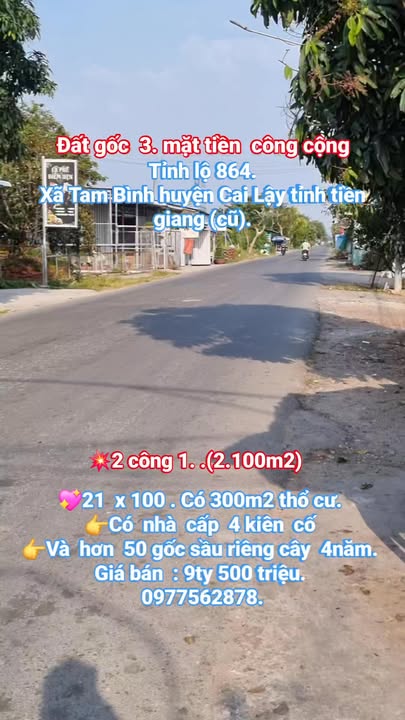 Đất Tỉnh lộ 864 Cai Lậy 21000m² - Tiềm năng tăng giá vượt trội!