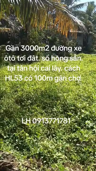 Bán Đất Vườn 2800m² Tiền Giang - Giá 1.7 Tỷ