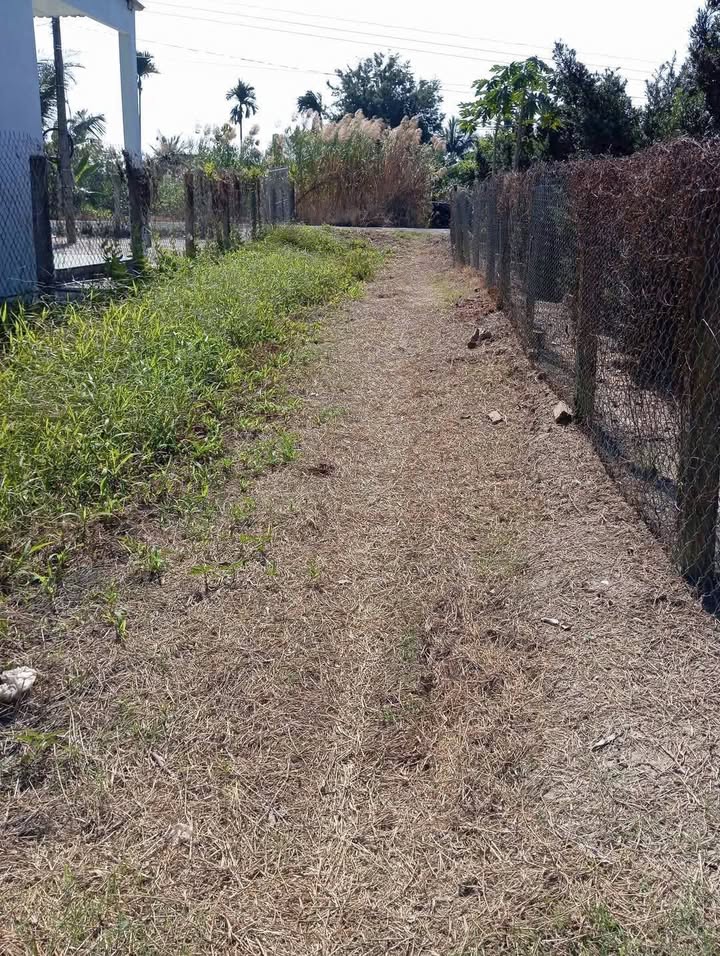 Bán Đất Mặt Tiền Mỹ Hòa, Cai Lậy, Tiền Giang - 193m² Sổ Hồng Sẵn Sàng