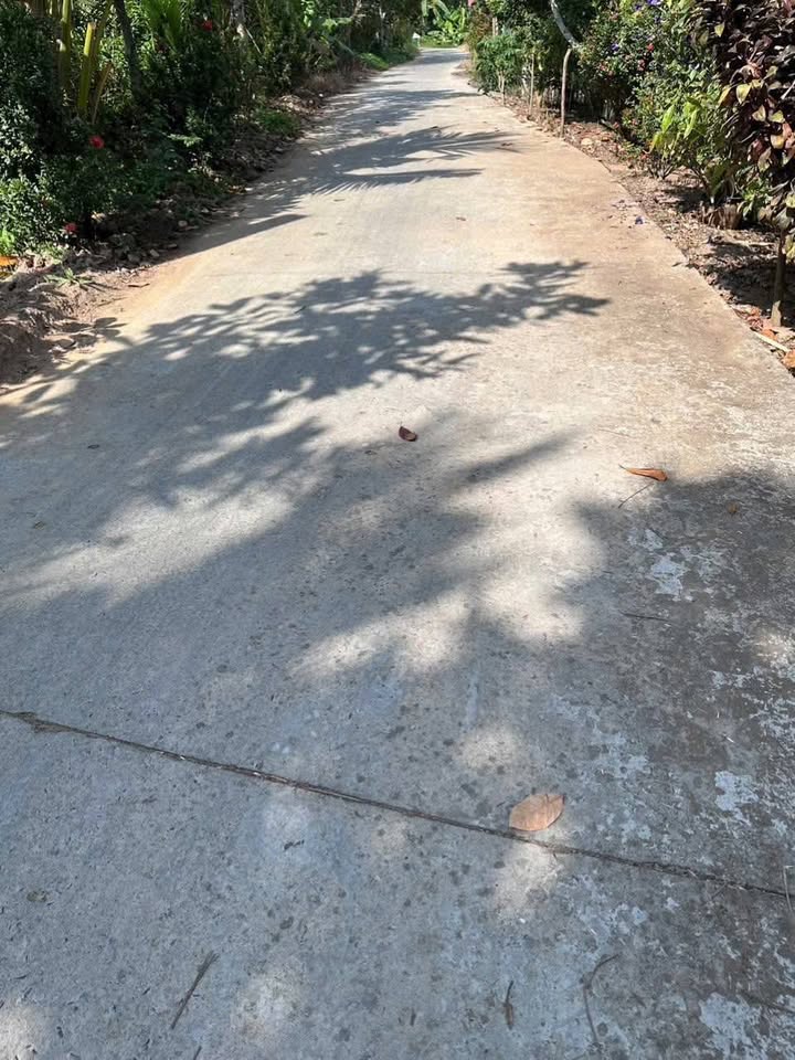 Bán Đất Vườn Xã Tân Phong, Cai Lậy 466m² - Giá 780 Triệu, Sẵn Cây Ăn Trái