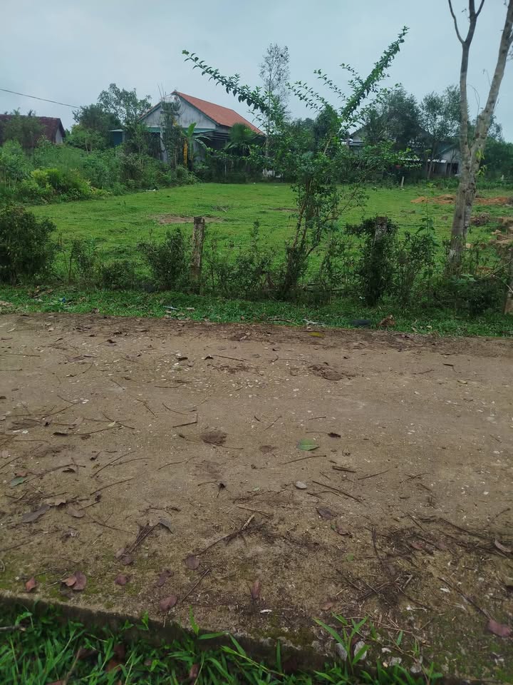 Đất nền Xã Hương Xuân, Hương Khê 320m² - Sổ đỏ chính chủ, xây dựng tự do!