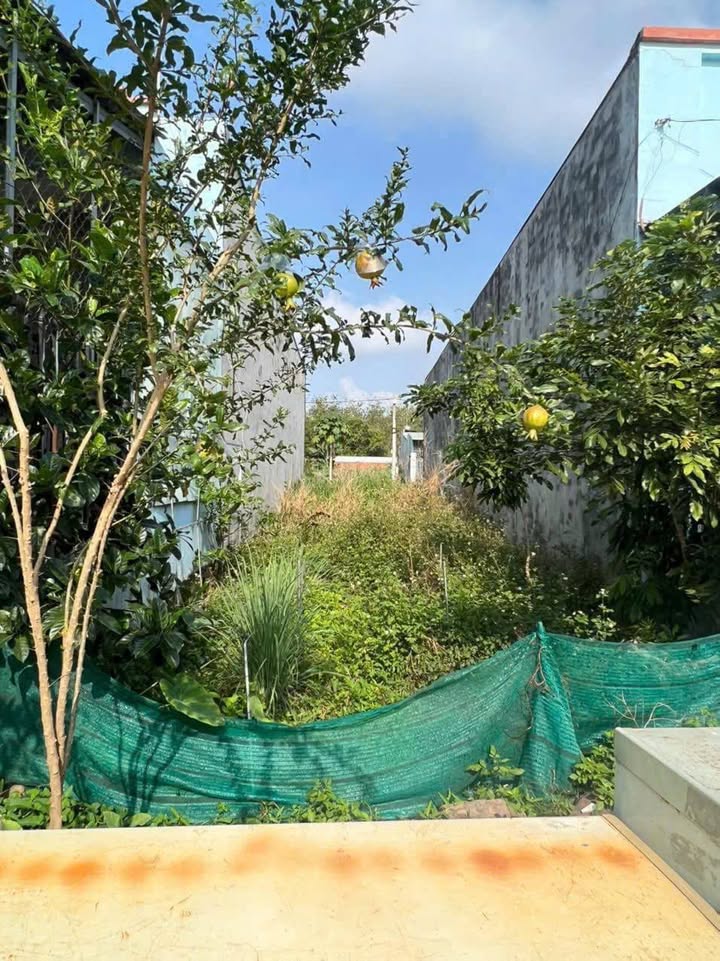 Đất nền Phường Trung Dũng Biên Hòa 114m² giá 700 triệu - Sổ hồng sẵn!