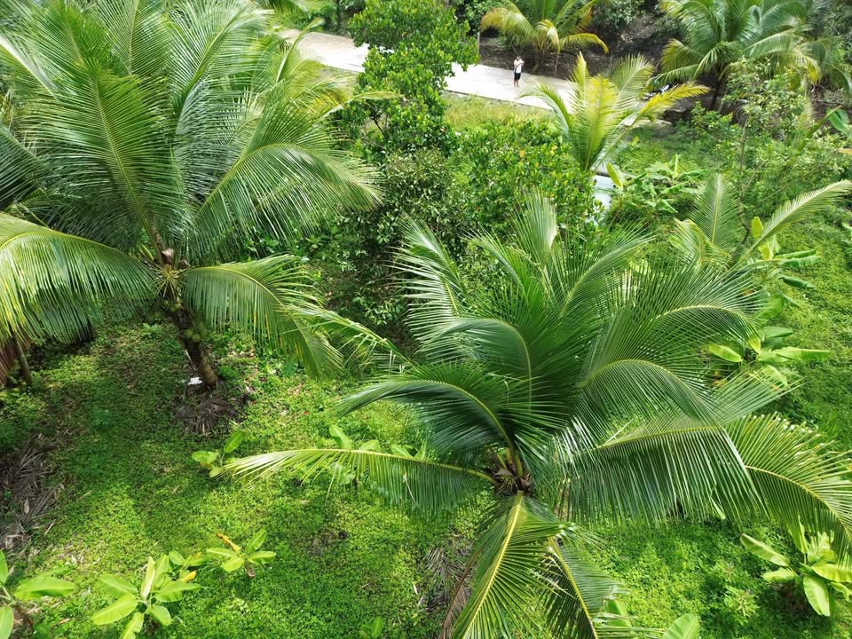 Đất nền Phường Bảo Vinh, Long Khánh 360m² – Sổ đỏ chính chủ!