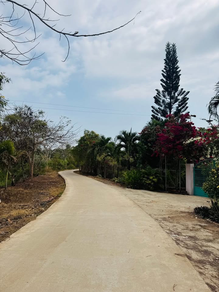 Bán Đất Xã Tân Phú, Đồng Nai 3600m² - Sổ Hồng Riêng, Giá 850 Triệu