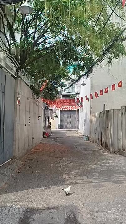 Nhà riêng Nguyễn Thiện Thuật 66m² 7 tỷ - Ô tô vào tận nhà!