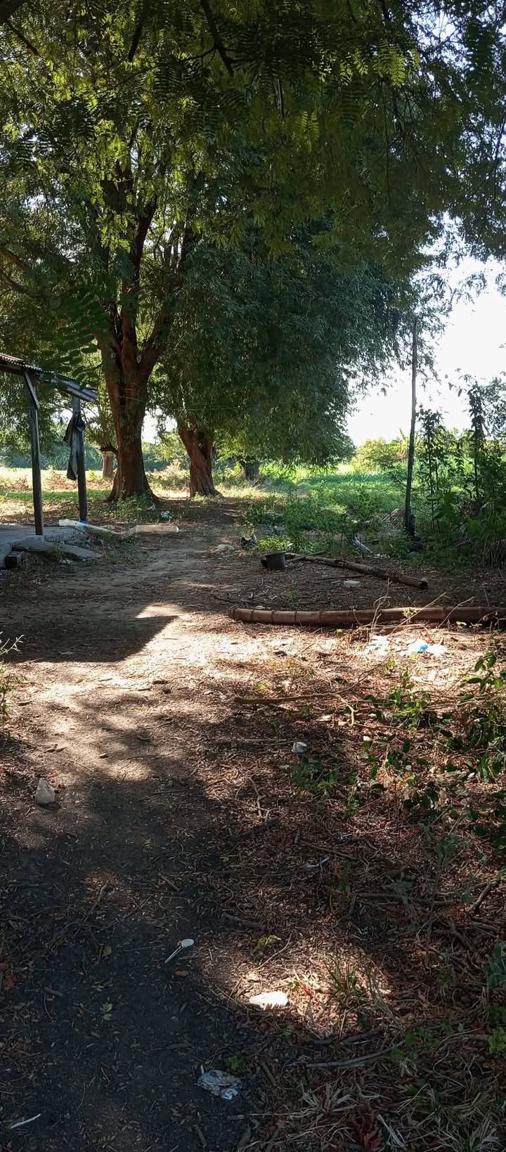 Đất Vườn Ninh Hòa 8500m² Giá 1.2 Tỷ - Nghỉ Dưỡng Lý Tưởng!