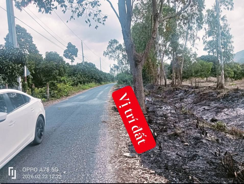 Đất Vàng An Cư, Tịnh Biên 6000m² - Mặt Tiền Hương Lộ 13, Sổ Hồng Sẵn Sàng