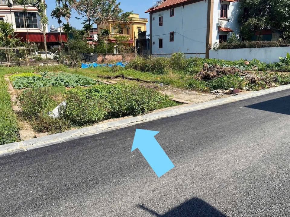 Đất nền Đông Anh 59m² Lô góc - Tiềm năng tăng giá, sổ đỏ sẵn!