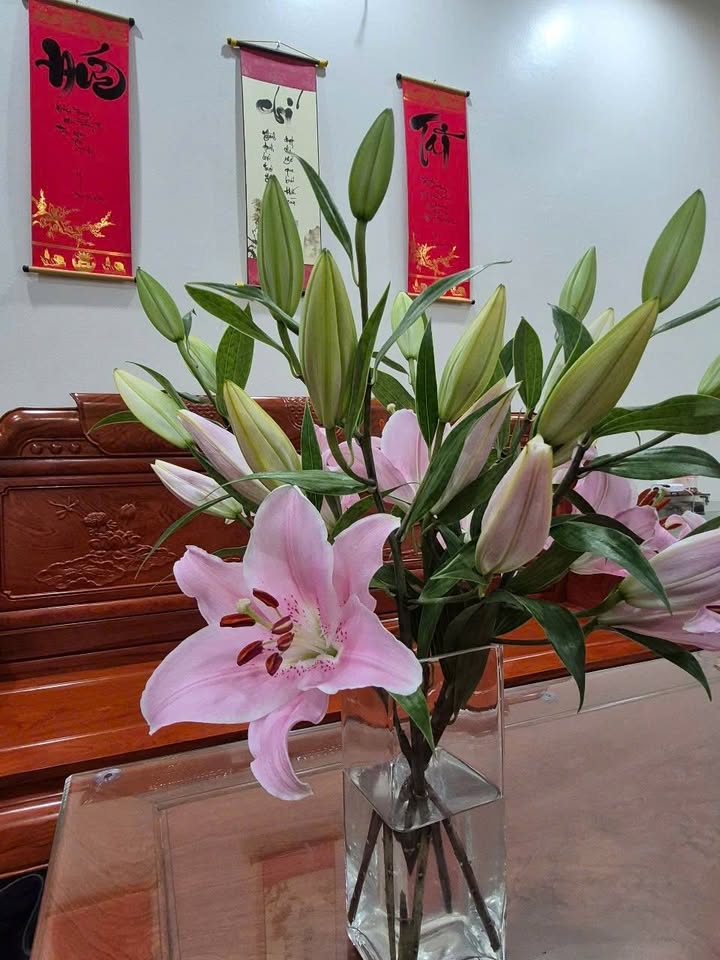 Đất nền Đại Dương 117m² 15 tỷ - Sổ đỏ chính chủ