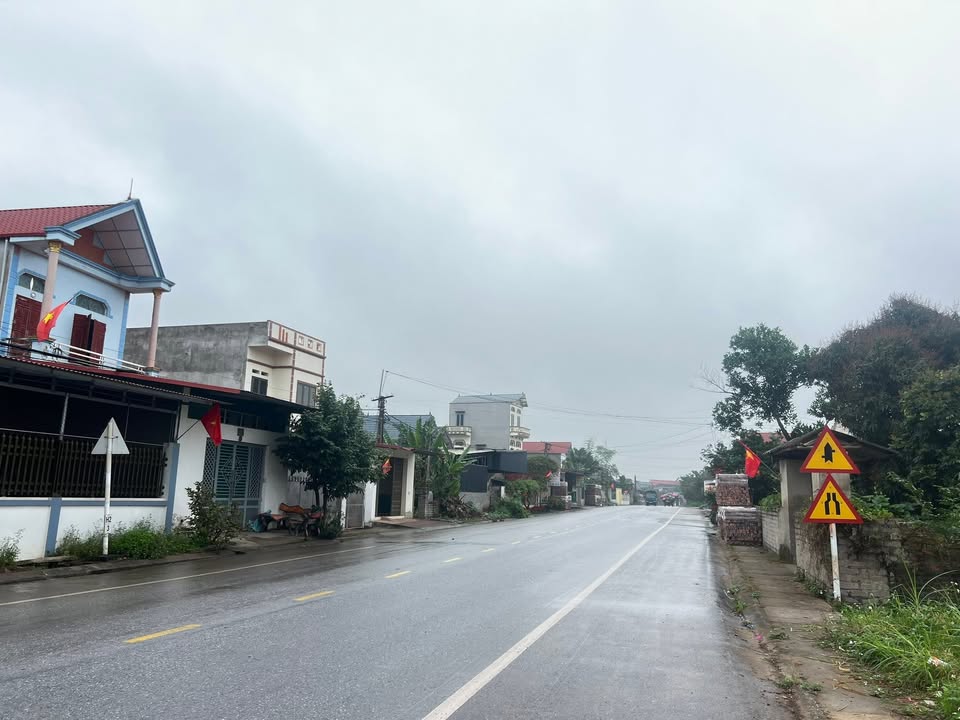 Đất Đấu Giá Tân Yên, Bắc Giang - 100m² Kinh Doanh Đắc Lợi