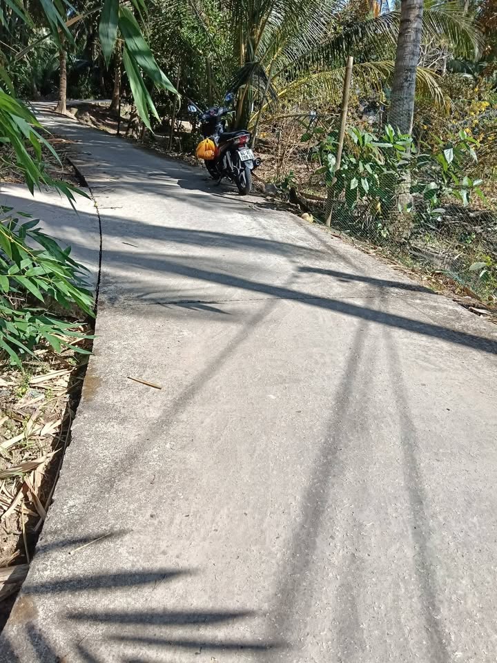 Đất Vườn Sóc Trăng 4000m² - Sinh Thái Xanh, Thu Hoạch Ngay!