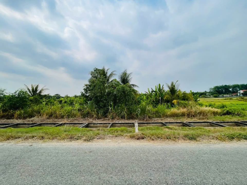 Đất Củ Chi 4247m² Mặt Tiền Kênh N38, Xã Thái Mỹ - Sổ Hồng Riêng
