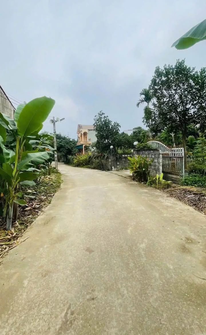 Bán Đất Phường Minh Xuân Tuyên Quang 495m² - Sổ Đỏ Chính Chủ