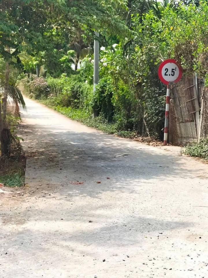 Đất Vườn 1000m² Châu Đốc, An Giang - Tiềm Năng Tăng Giá Vượt Trội!