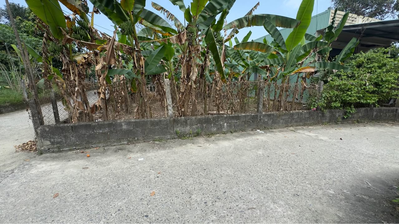 Bán Đất Kiệt Ô Tô Hưởng Phước Hòa Minh, Liên Chiểu - 94m² Sổ Đỏ Giá Tốt