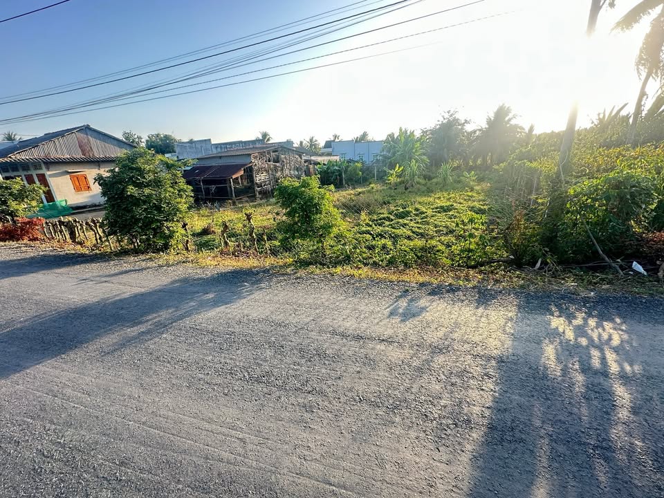 Đất nền Bình Tân Gò Công Tây 650m² giá 1 tỷ - Sổ đỏ chính chủ!