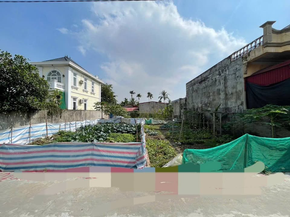 Bán Đất 50m² An Hồng, Hồng Bàng, Hải Phòng - Hơn 900 Triệu, Ô Tô Đỗ Cửa