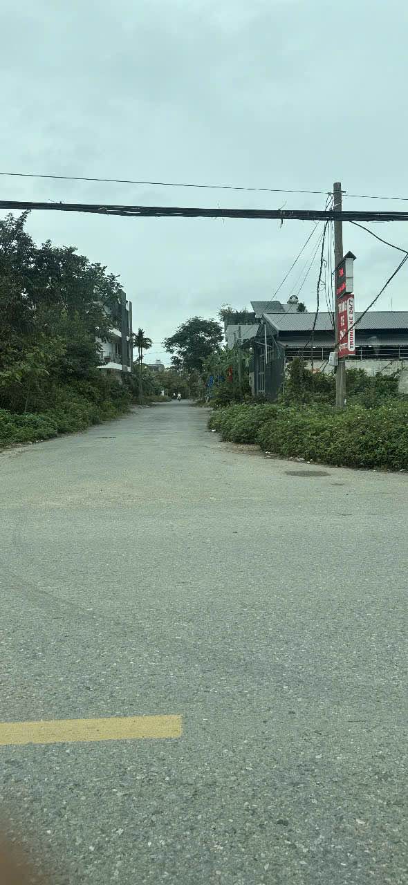 Đất nền Dự án vườn đốm An Đồng 43.8m² - Tiềm năng tăng giá!