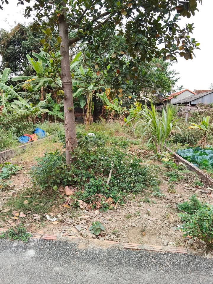 Đất nền Xuân Hoà, Phúc Yên 115m² - Đường to ô tô vào tận đất!