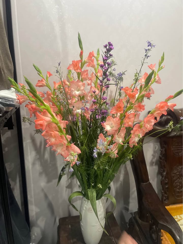 Đất nền Thọ Chương, Lam Sơn, Thanh Miện 105m² - Đường ô tô vào tận đất!