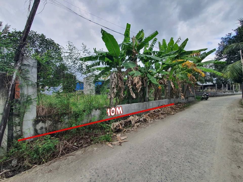 Đất Thổ Cư Cam Lâm 458m² Nở Hậu - Giá 2.29 Tỷ Chính Chủ Bán Gấp