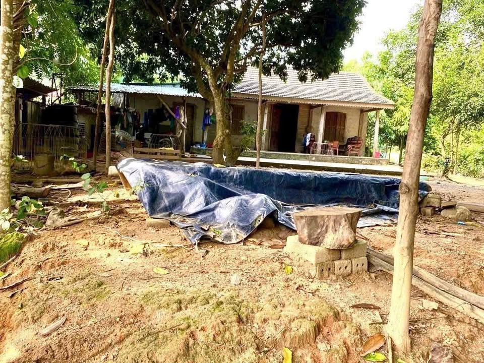 Bán Nhà Vườn Phong Hải 1080m² Giá 880 Triệu - Nghỉ Dưỡng Lý Tưởng!