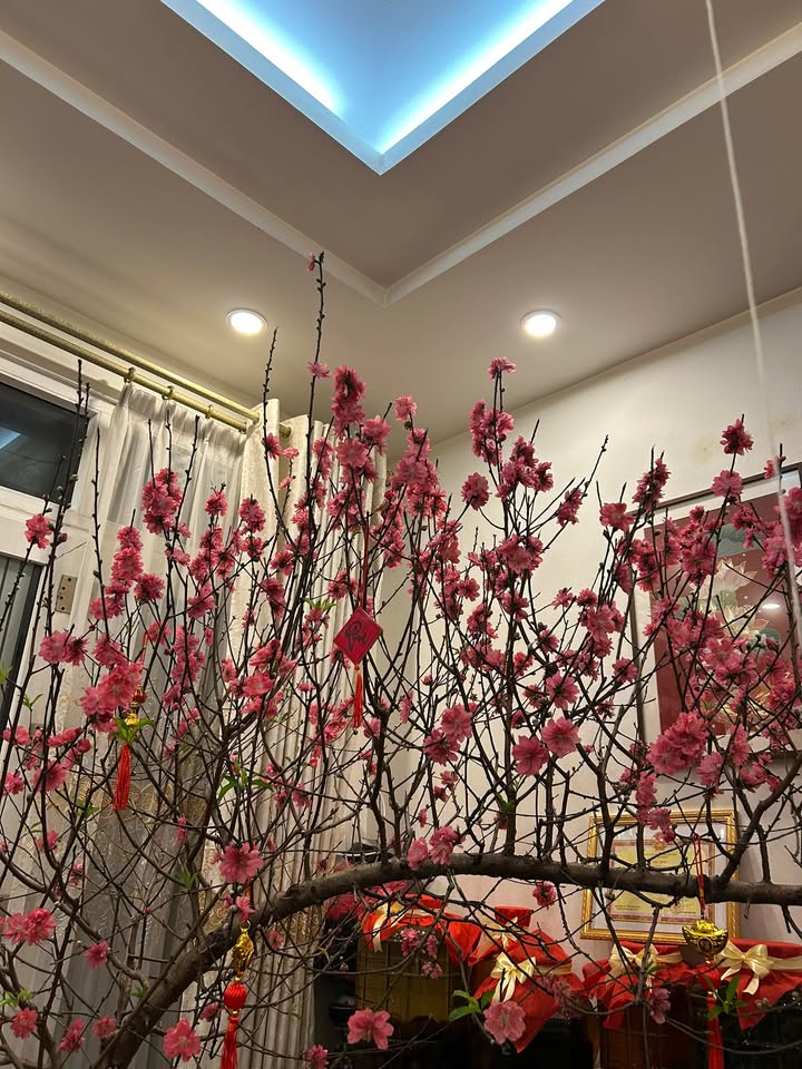 Bán Đất Vàng Âu Cơ 135m² - View Sông Hồng, Tặng Nhà 3 Tầng