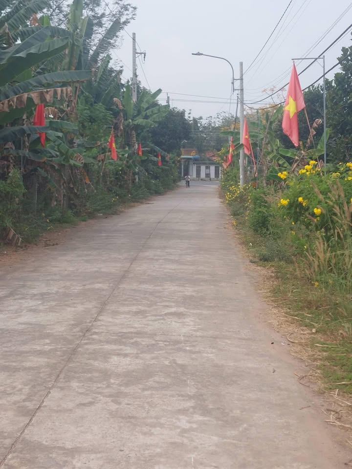 Đất nền An Bình, Dĩ An 100m² - Đất thổ cư 100%!