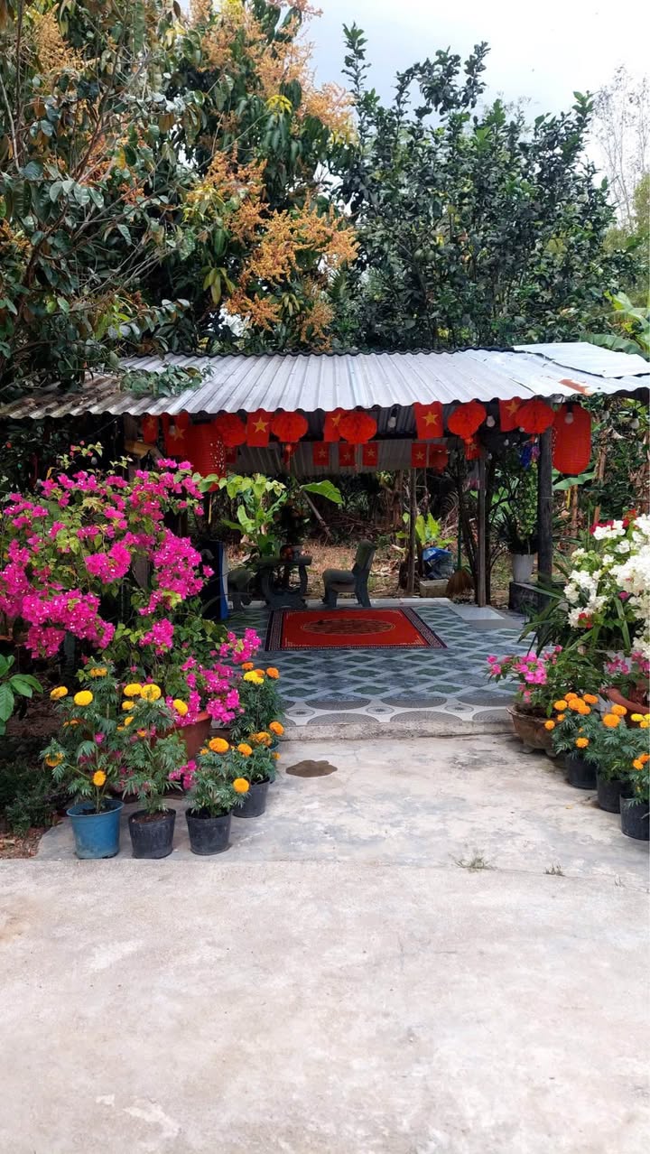 Bán Đất Vườn 781m² Bình Lộc, Diên Khánh - Giá 590 Triệu, Ô Tô Tới Nơi