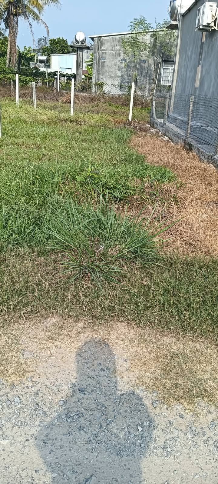 Đất nền Gò Dầu, Tây Ninh 75m² full thổ cư - Giá 3xx triệu