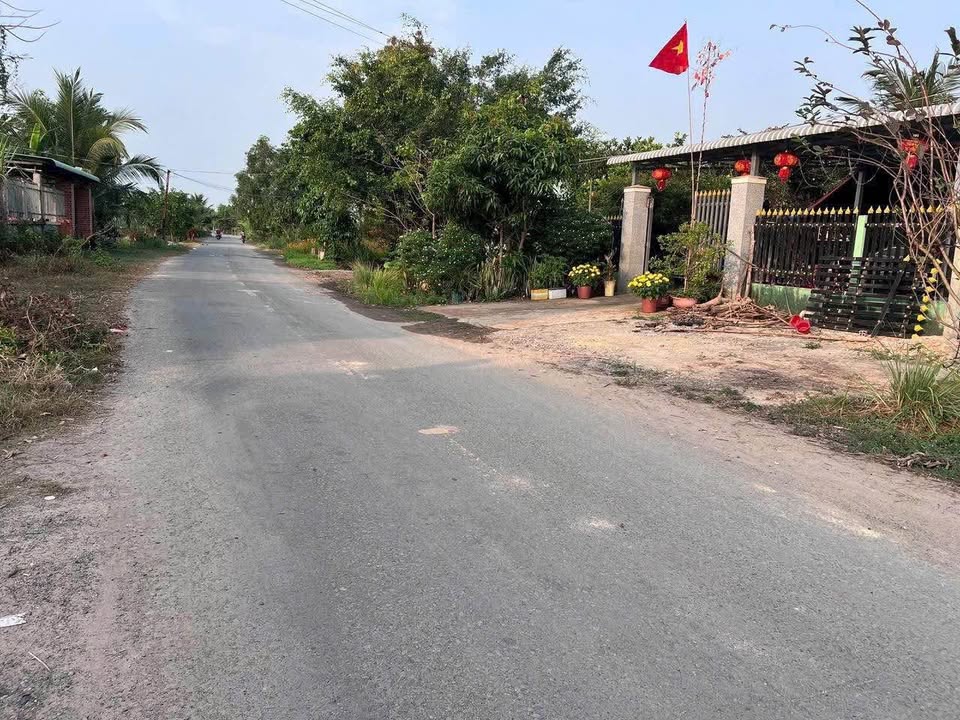 Bán Đất Lúa Sổ Hồng Riêng Mặt Tiền Đường Nhựa An Thuận Đức Hòa - 1.5 Tỷ