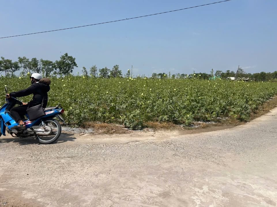 Đất Vườn 300m² 2 Mặt Tiền Ô Tô Gò Công Đông - Sổ Hồng Sẵn Sàng