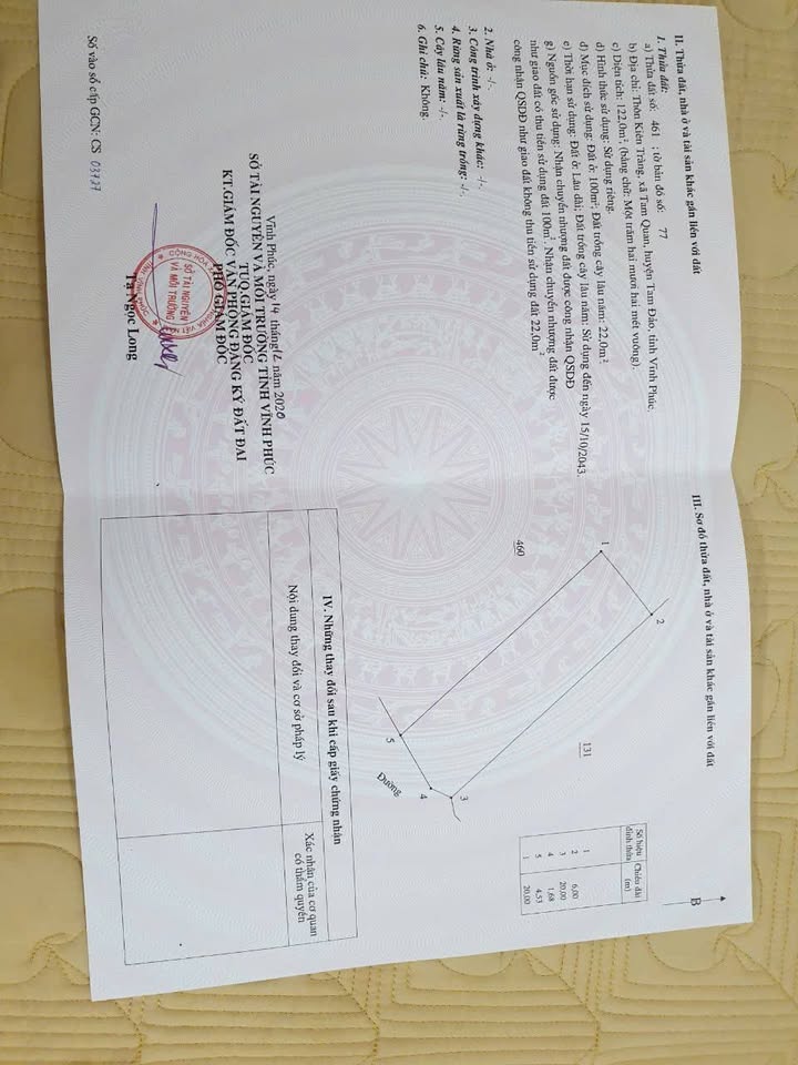 Đất nền Tam Đảo 122m² - Mặt tiền đường 36, kinh doanh đỉnh