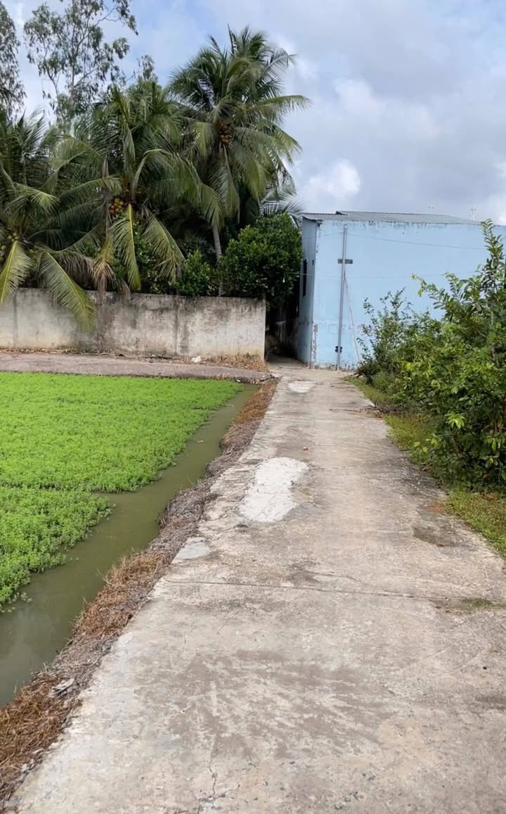 Đất Vườn Long Định Châu Thành 750m² giá 670 triệu - Sổ đỏ chính chủ!