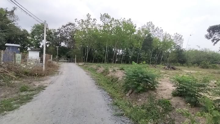 Đất nền Gia Bình Tây Ninh 150m² - Đường to ô tô, sổ đỏ sẵn!