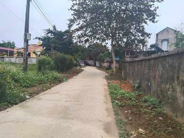 Đất nền Tuyên Quang 260m² - Sổ đỏ chính chủ, đường 4m, giá 1.2 tỷ