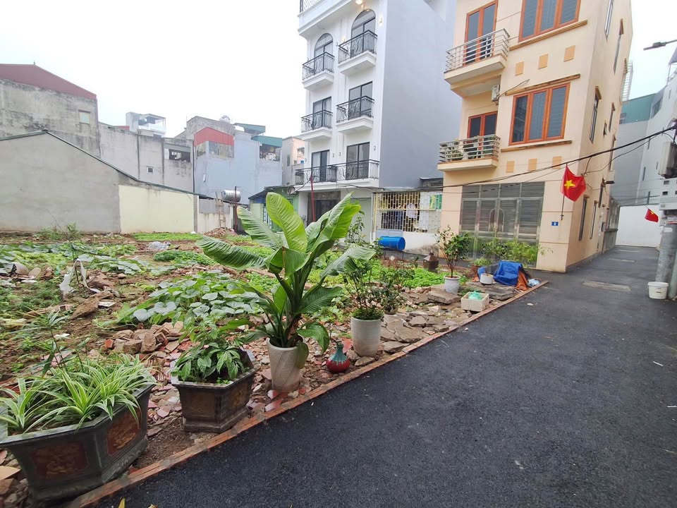 Đất nền Long Biên 55m² dưới 7 tỷ - Tiềm năng tăng giá vượt trội!