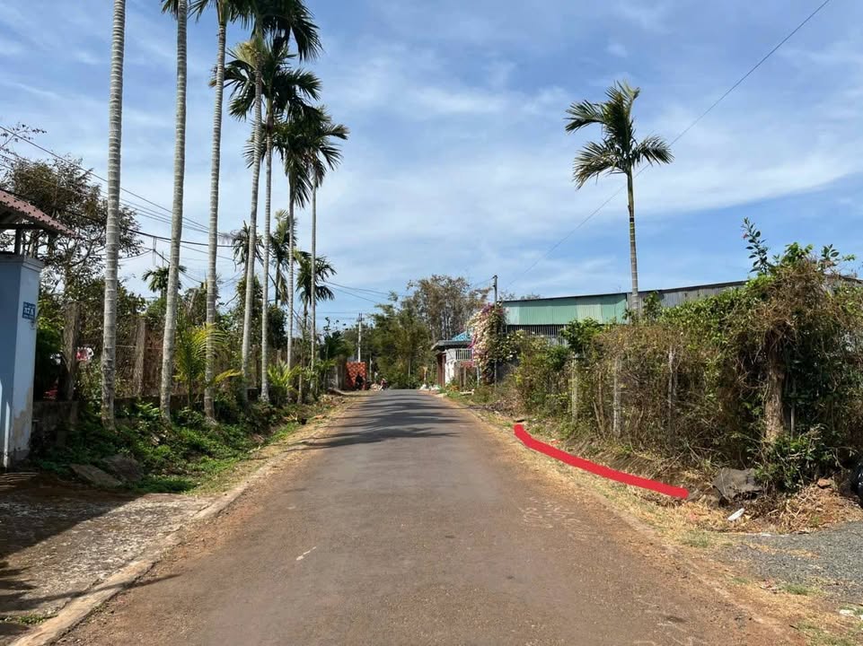 Bán Đất Mặt Tiền 260m² Phường Tân An, Thủ Dầu Một - Sổ Đỏ Thỏa Thuận