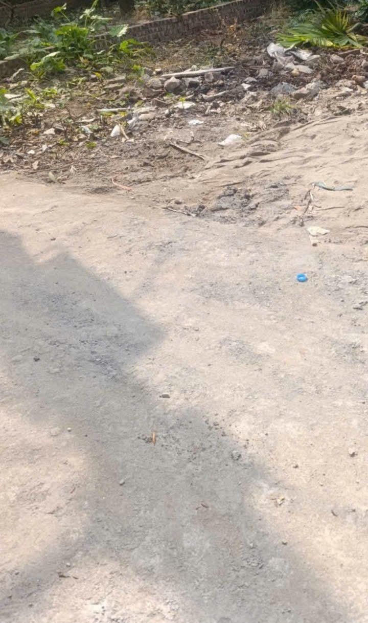 Đất Lô Góc Ngũ Hiệp Thanh Trì 60m² - Sổ Đỏ Sẵn Sàng Giao Dịch