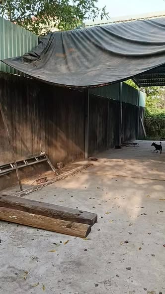 Bán Gấp Kho Xưởng 115m² Xã Bình Mỹ, Củ Chi - Giá Đầu Năm 5.7 Tỷ