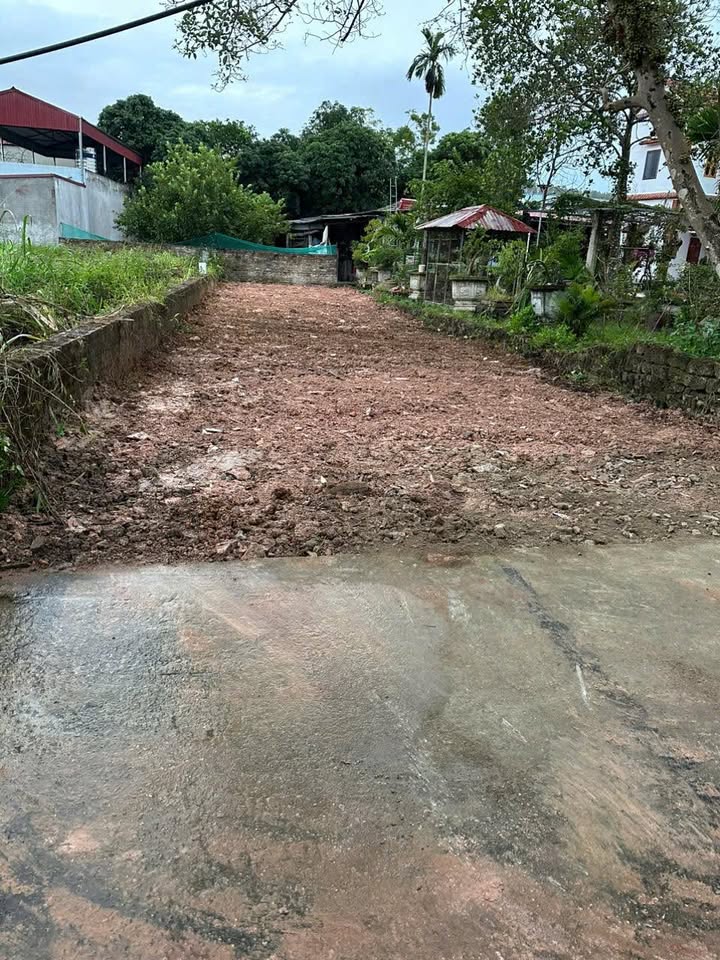 Đất Vĩnh Phúc - 145.5m² An Đồng, Xuân Hòa - Sổ Hồng Sẵn Sàng