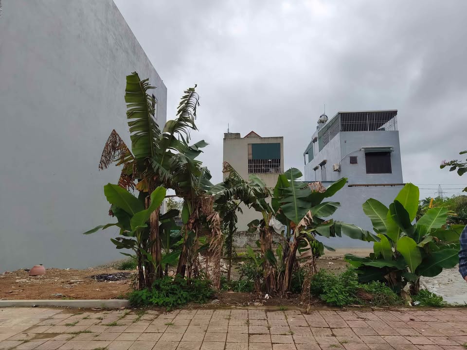 Đất Nền Đông Lĩnh 100m² - Sổ Đỏ Chính Chủ, Gần QL45