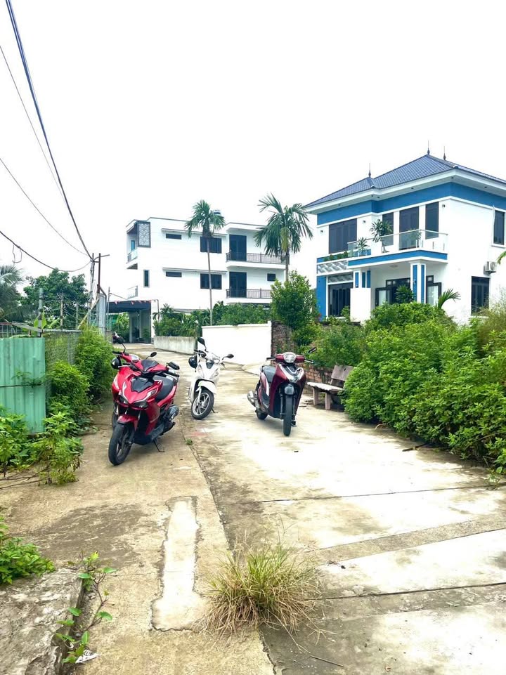 Lô Đất Góc Hoàng Mai 62m² chỉ 1.45 tỷ - Đường to ô tô vào tận đất!