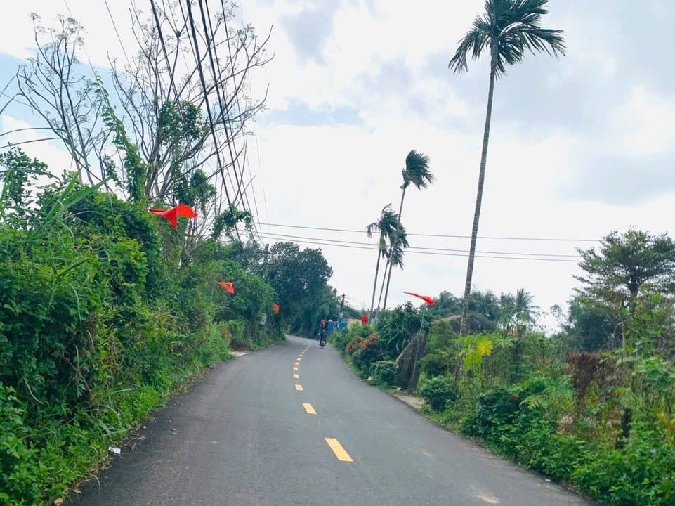 Mặt tiền Tỉnh Lộ Nghĩa Hà - 100m² Sổ Đỏ, Giá 700 Triệu