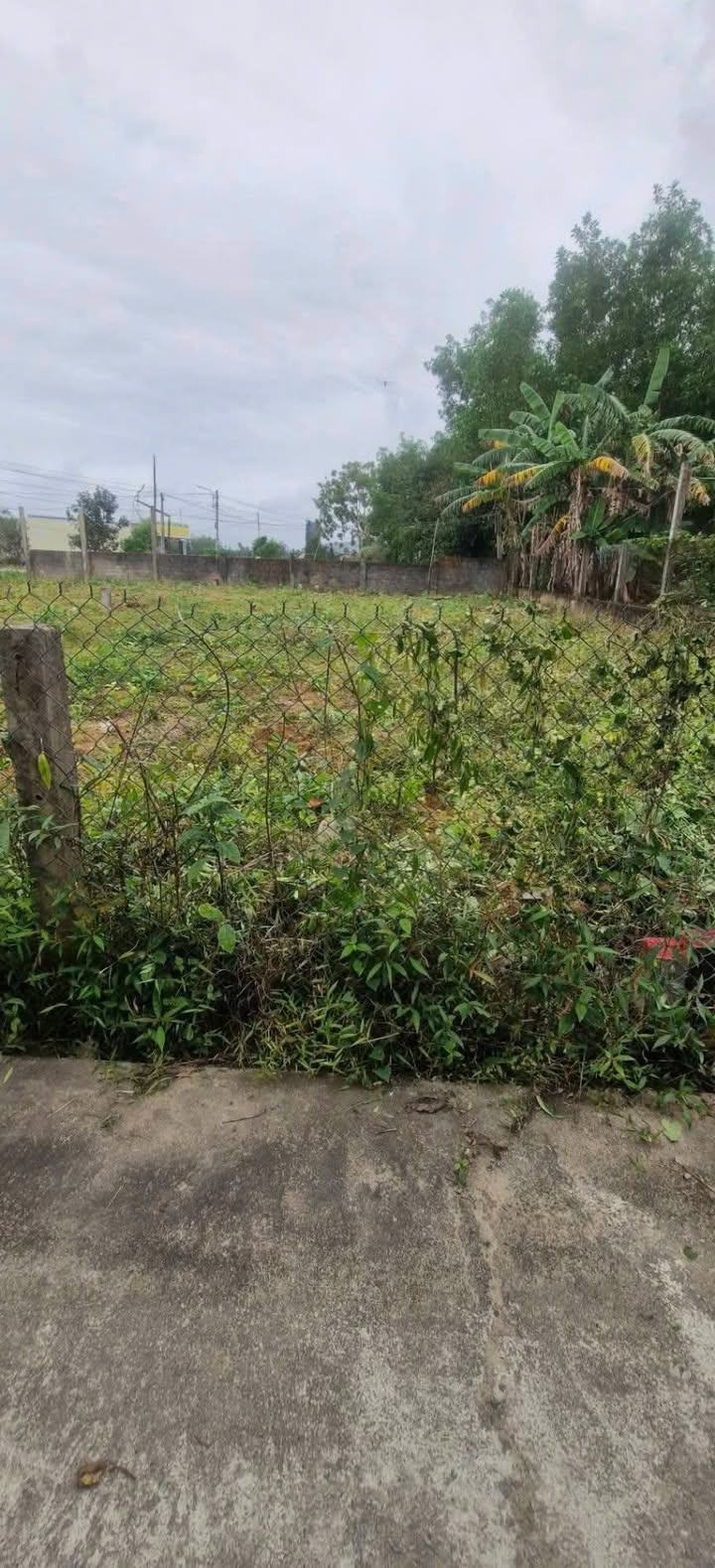 Bán Đất Tịnh Thiện, Quảng Ngãi - 115m² - Sổ Đỏ Sẵn Sàng