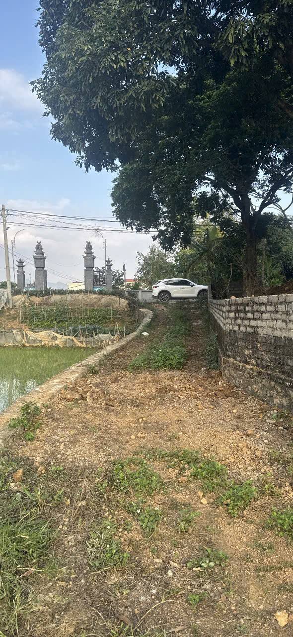 Bán Đất Gia Lâm Nho Quan 1000m² Sổ Hồng Sẵn Sàng - Tách Lô Linh Hoạt