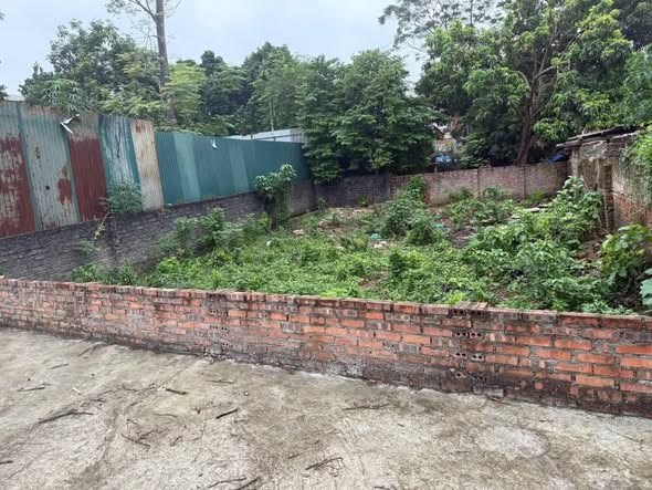 Đất nền Việt Trì 188.7m² giá 3 tỷ - Vị trí đắc địa, sổ đỏ chính chủ!