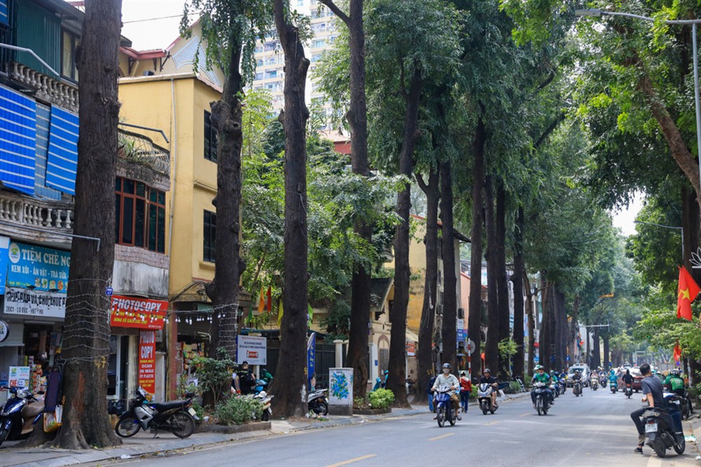 Nhà Phố Cổ Hai Bà Trưng 117m² - Mặt Tiền Kinh Doanh 9m Đắc Địa!