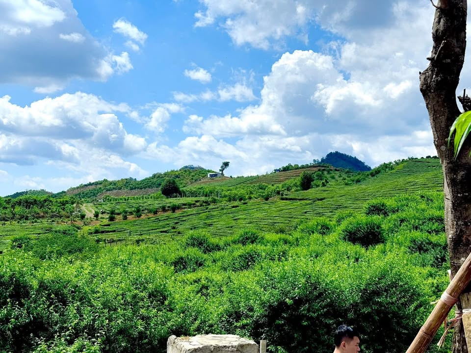 Bán đất nền 220m² View vườn mận, đồi chè - Sơn La